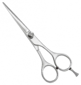 Professional Razor Eadge Shears