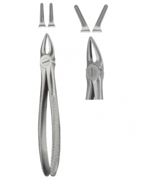 Tooth Extracting Forceps