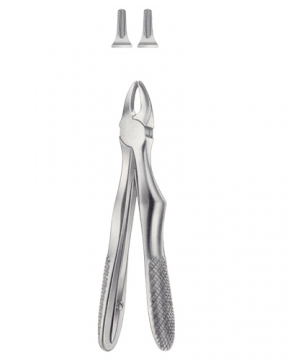 Tooth Forceps for Children