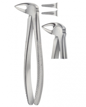 Tooth Extracting Forceps