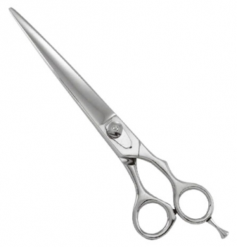 Professional Razor Eadge Shears