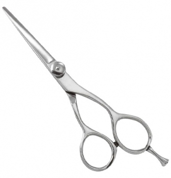 Professional Razor Eadge Shears