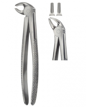 Tooth Extracting Forceps