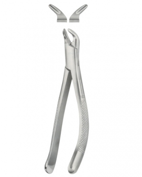 Tooth Forceps for Children