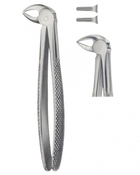 Tooth Forceps for Children