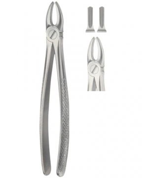 Tooth Extracting Forceps