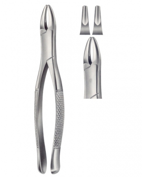 Tooth Extracting Forceps