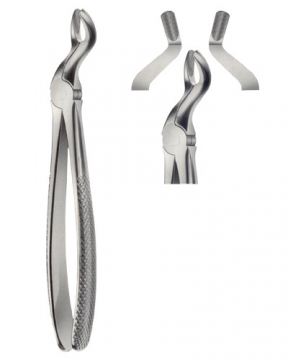 Tooth Extracting Forceps