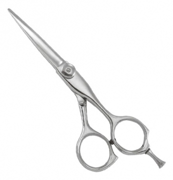 Professional Razor Eadge Shears