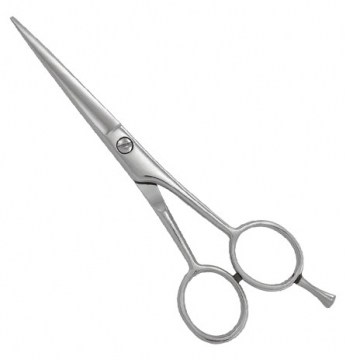 Professional Razor Eadge Shears