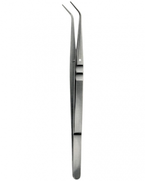 Tooth Tweezers