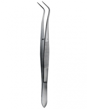 Tooth Tweezers