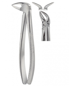 Tooth Extracting Forceps