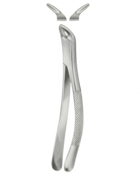 Tooth Extracting Forceps