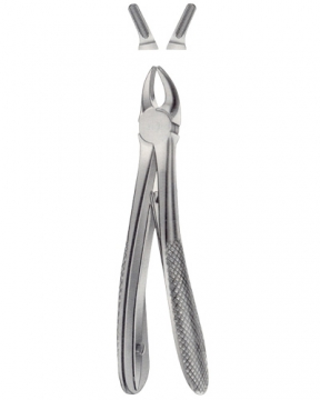 Tooth Forceps for Children